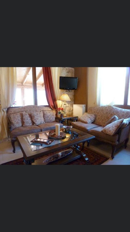 Aetoma Suites Synikia Mesi Trikalon Exterior foto